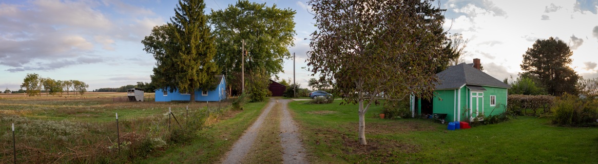 This is the entrance to Bucksnort Farm. To the left are the pastures and to the right are the edges of the vegetable fields. The driveway leads back to the old barn where the animals are sheltered.