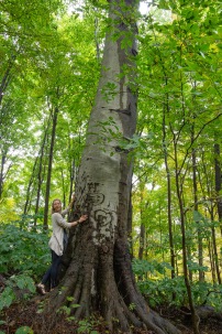Michaela Mast stands next to a very tall tree in the woods at Camp Friedenswald.